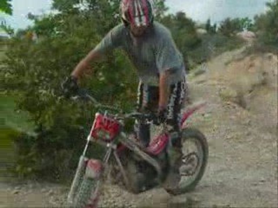 trial buche38