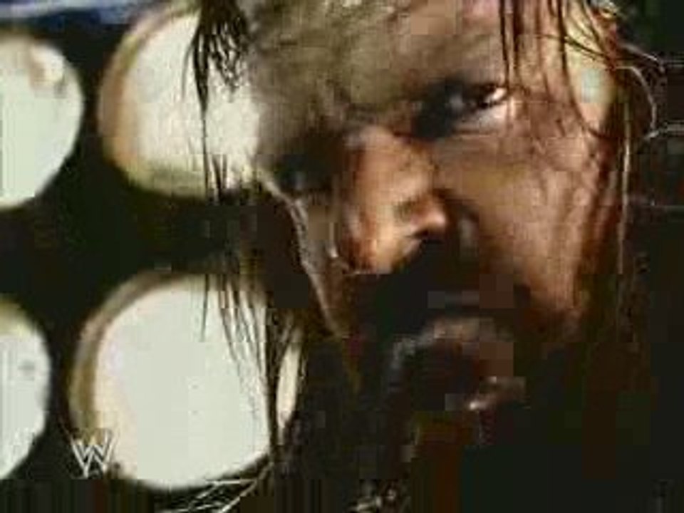 HHH's Pedigree Tribute