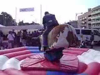 el pupas y el toro mecánico