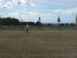 debout pendant la marche