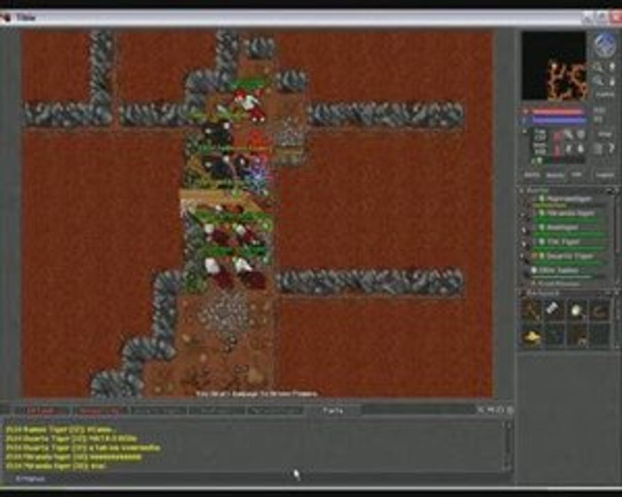 Tibia - Tigers Team Elysia War