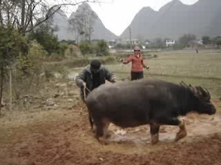 Fabrication de torchis décoratif. Rénovation DaST en Chine.