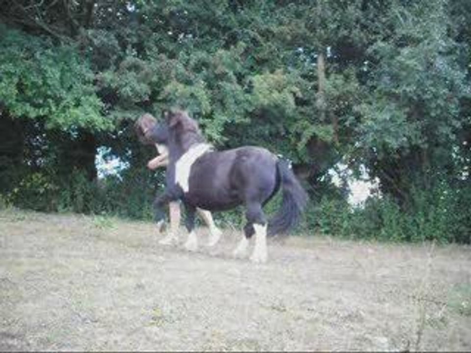 Aout - pas esp, révérence, lib