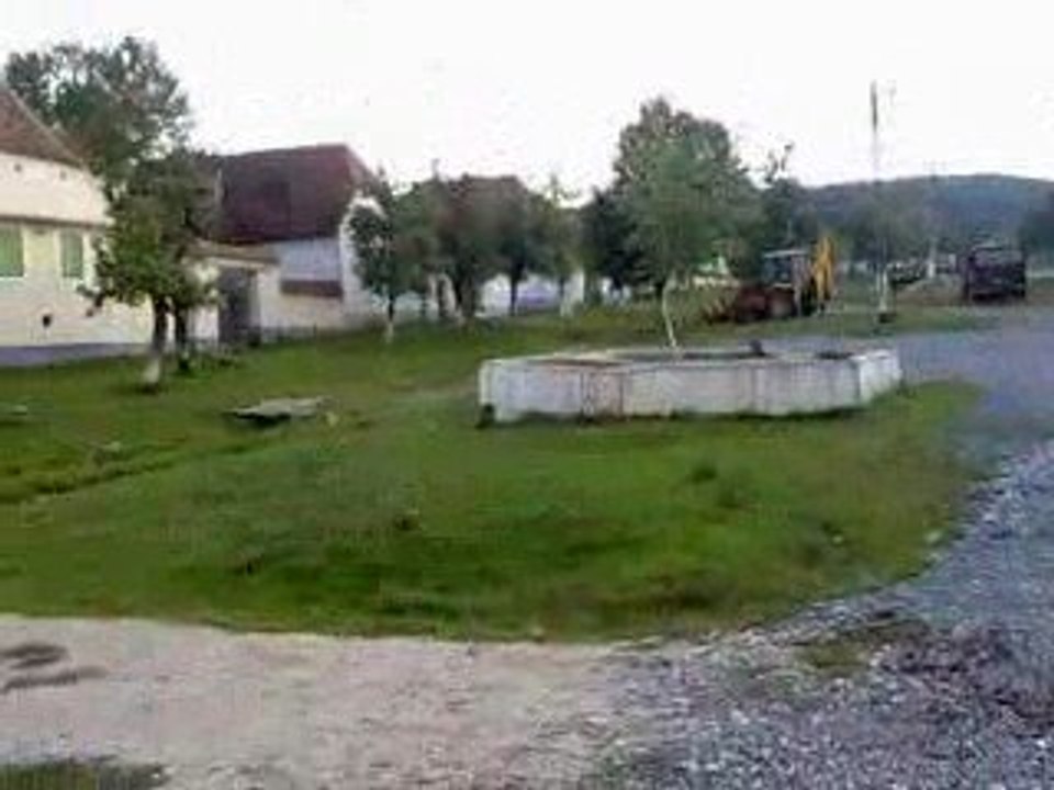 Viscrii