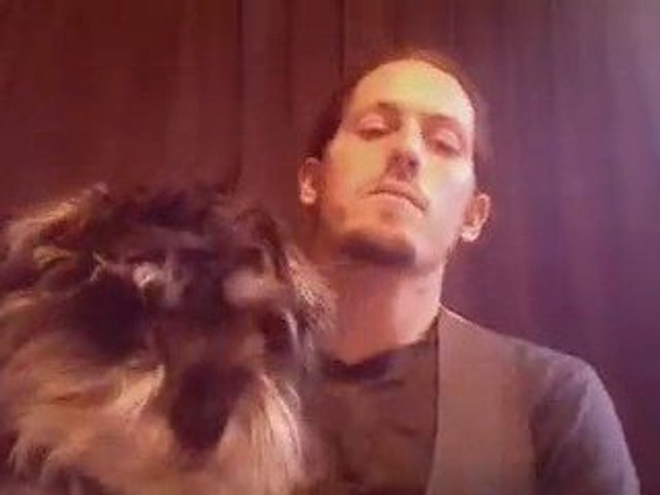 Tips for training your dog