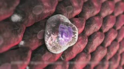 Test 1 dos primeiros 49s para o video a ser feito