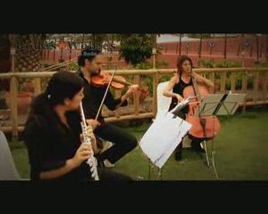 Reportaje boda, videos de bodas http://www.bodasweb.es/