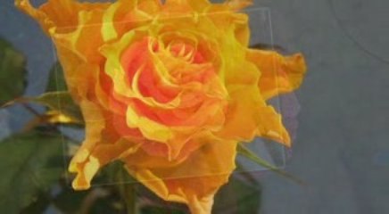 Zdravko Skender - Sve na Tebe