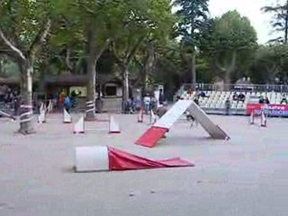 3eme D Concours d'Aubenas Swan