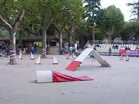 3eme D Concours d'Aubenas Swan