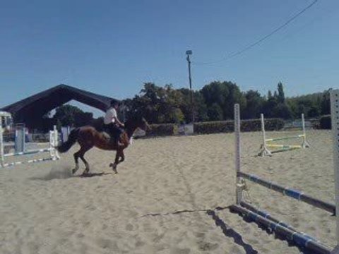 Porte ouverte 2009, relais a l'americaine