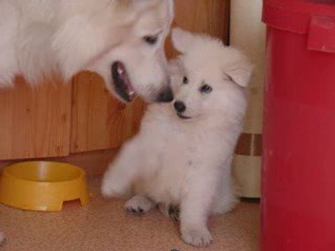 EL-DIABLO ET CHUCKY 1 SEPTEMBRE 2009