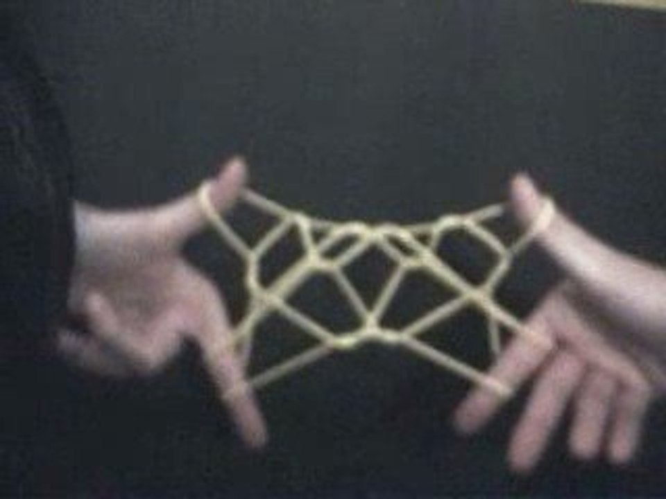 Bat