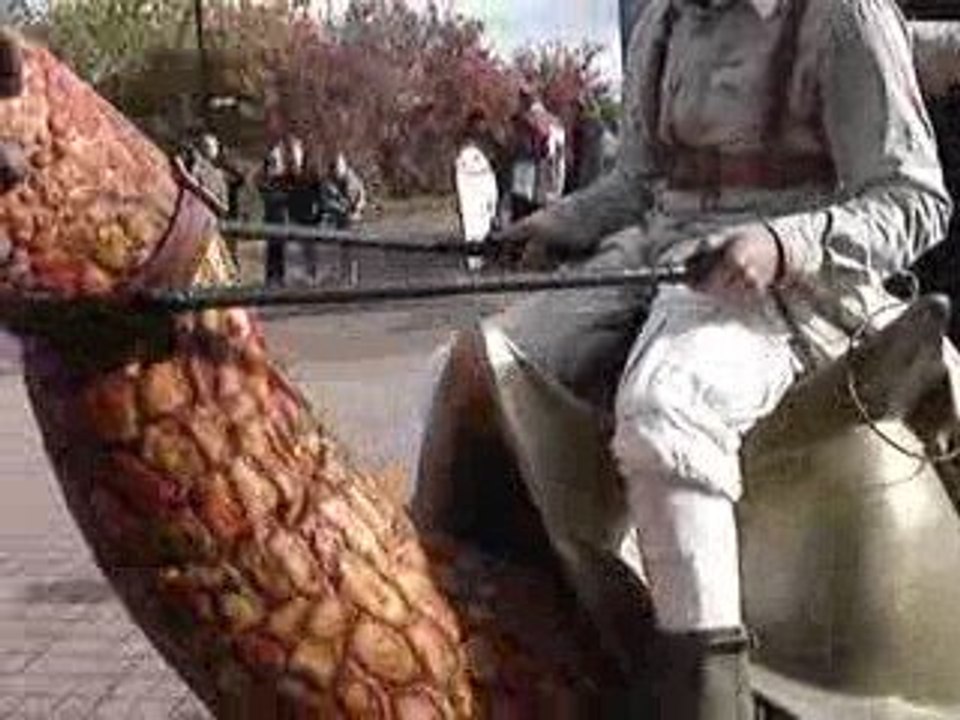 Suceur-sauteur vivant et dressé, au Futuroscope