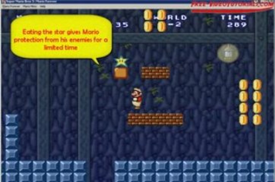 Mario Forever game play demonstration
