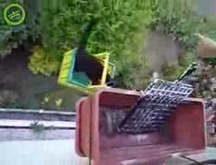 Cat Lift - Czyli jak wyprowadzać kota na dwór