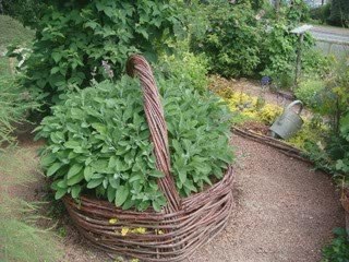 Interview de l'association Cultures aux jardins(1/3)