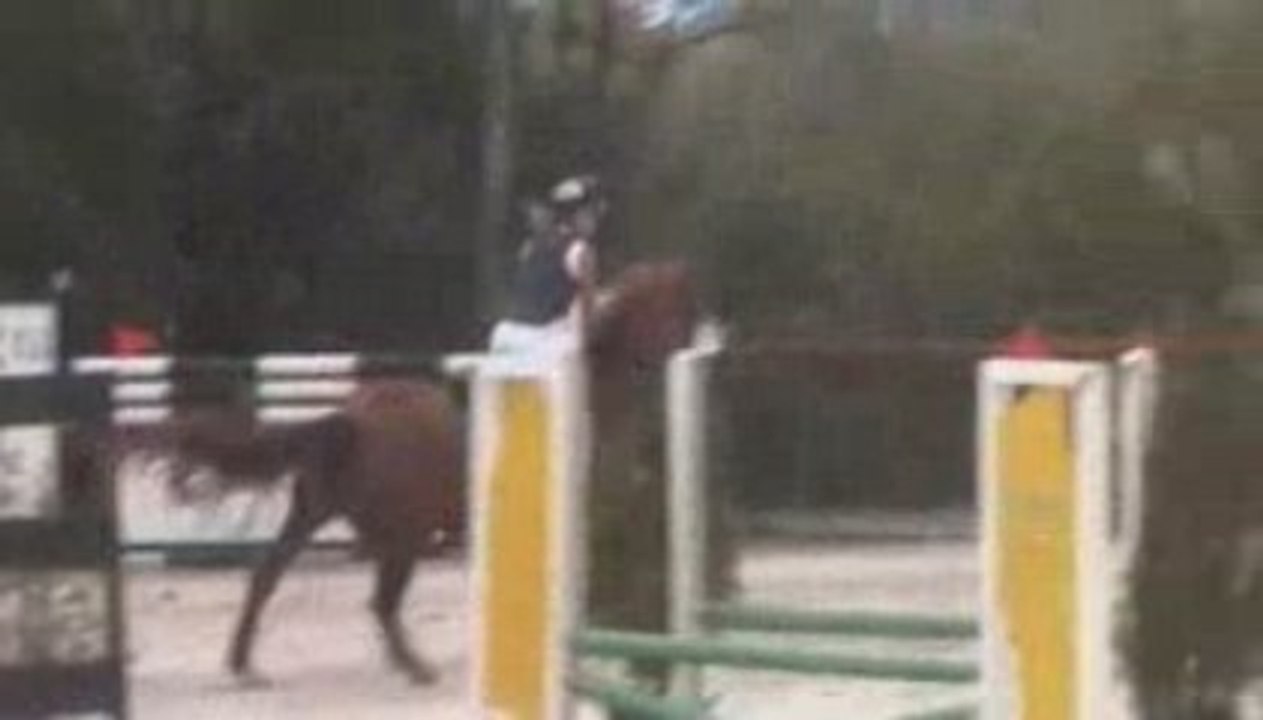 Guin 28 août 2009 - 60-80cm - Par-équipe - Passion Platière