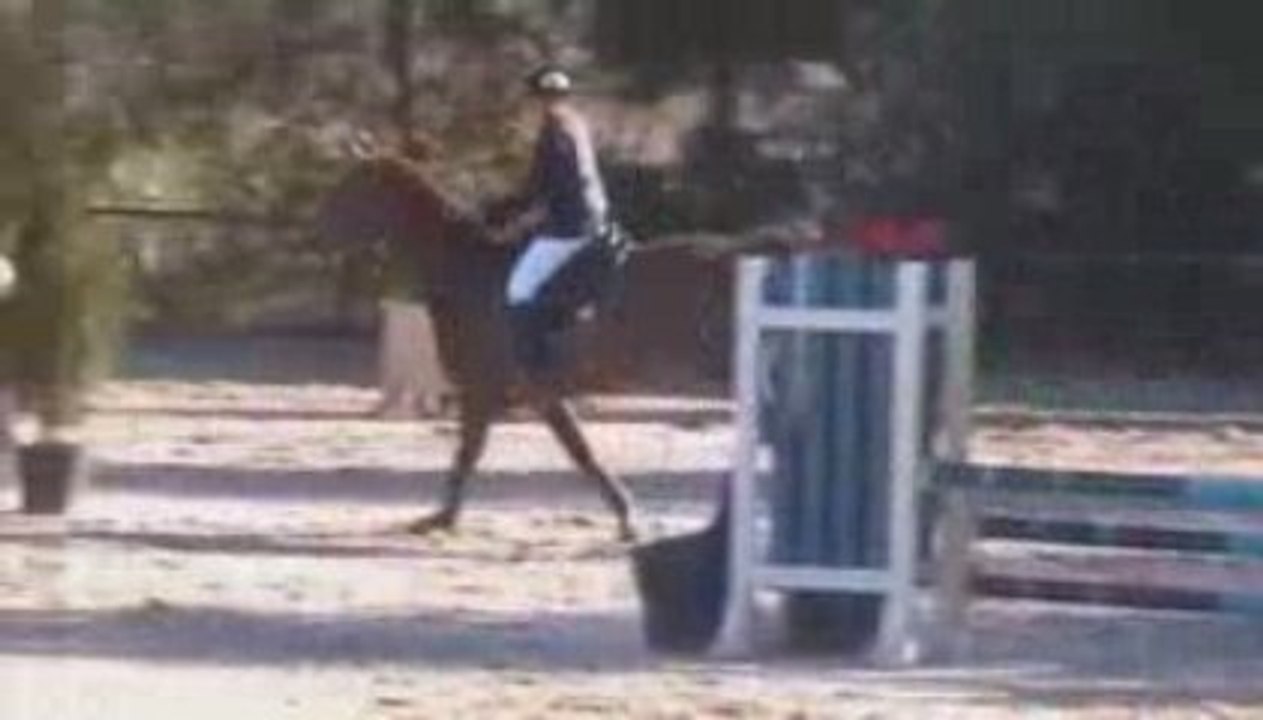 Guin 30 août 2009 - 80-90cm - 1er tour - Passion Platière