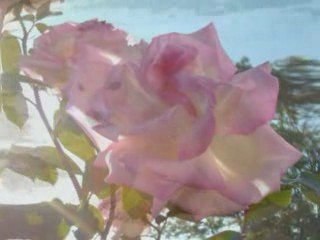 Lionel Ritchie - Say you say me