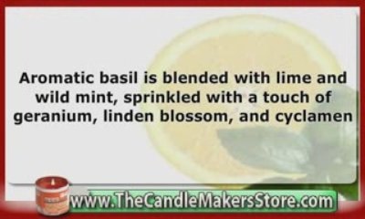 The Candle Makers Store: Cool Citrus Basil
