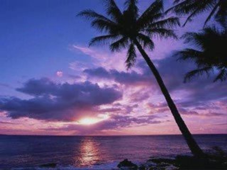 the sound of silence