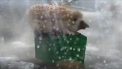 Pub Spontex GrattAction - Coupsdepub.com