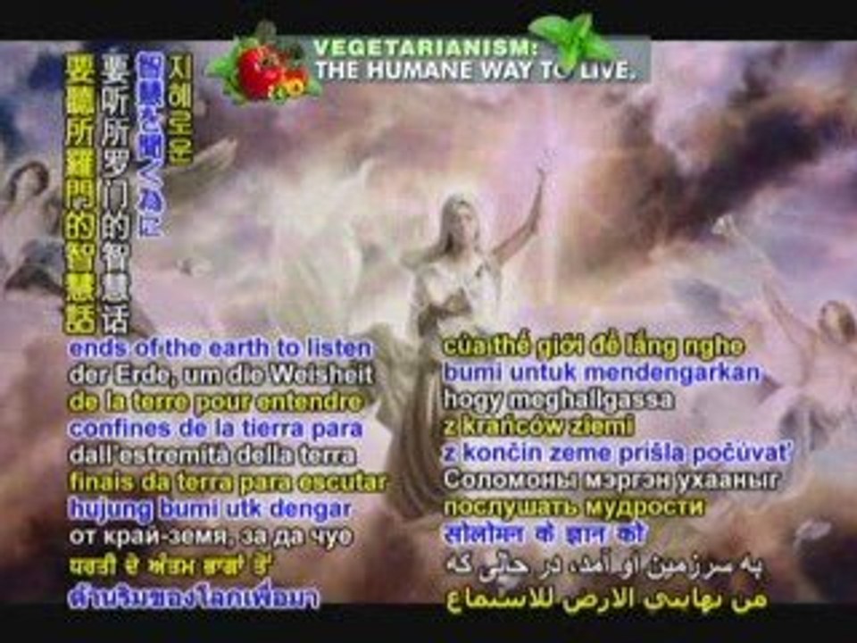From the Holy Christian Bible:The Gospel of Matthew, Chapter