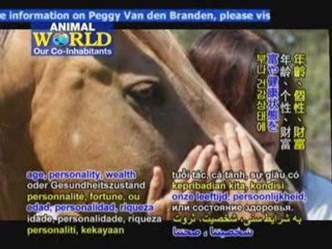 Rekindling Spirits: Equine Assisted Psychotherapy (In Dutch)