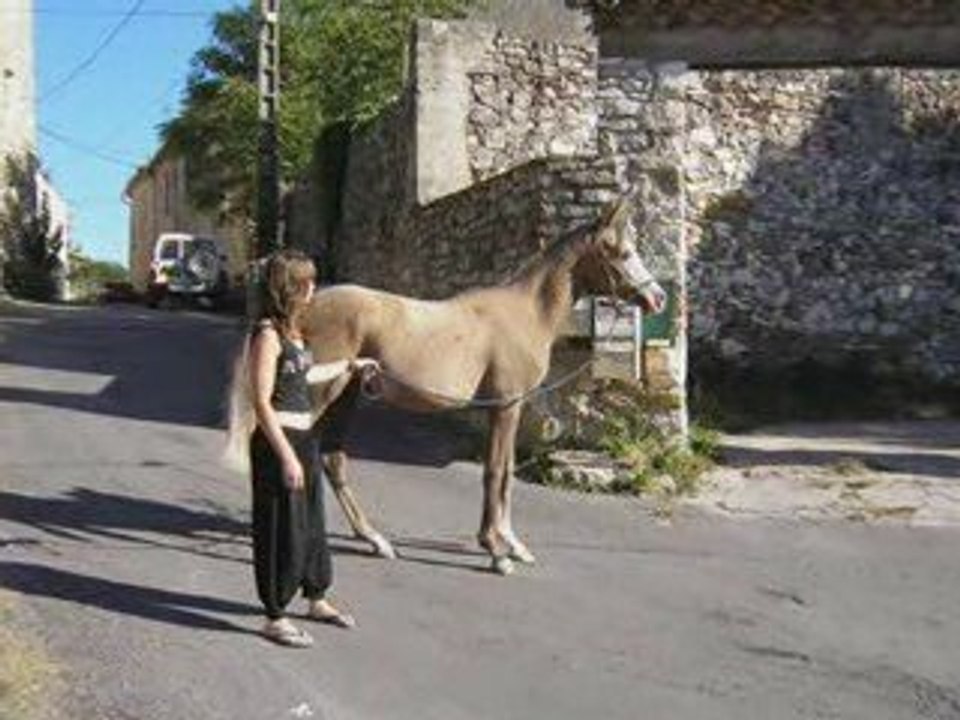 Shalom... Premiers exercices a pied