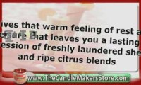 The Candle Makers Store: Real Orange Dreamsicle