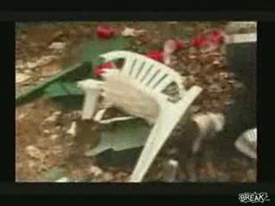 Spettatore frana dal tetto