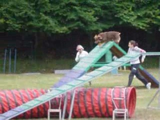 Concours Querqueville avec Brisca : GPF