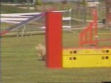 Epona Jumping - Concours Seltz - 15 août 2009