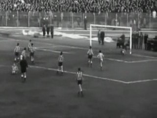 Balkan Kupası Finali - Şampiyon Fenerbahçe