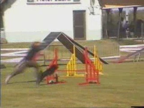 Gribouille Jumping (qual) - Concours Seltz - 15 août 2009