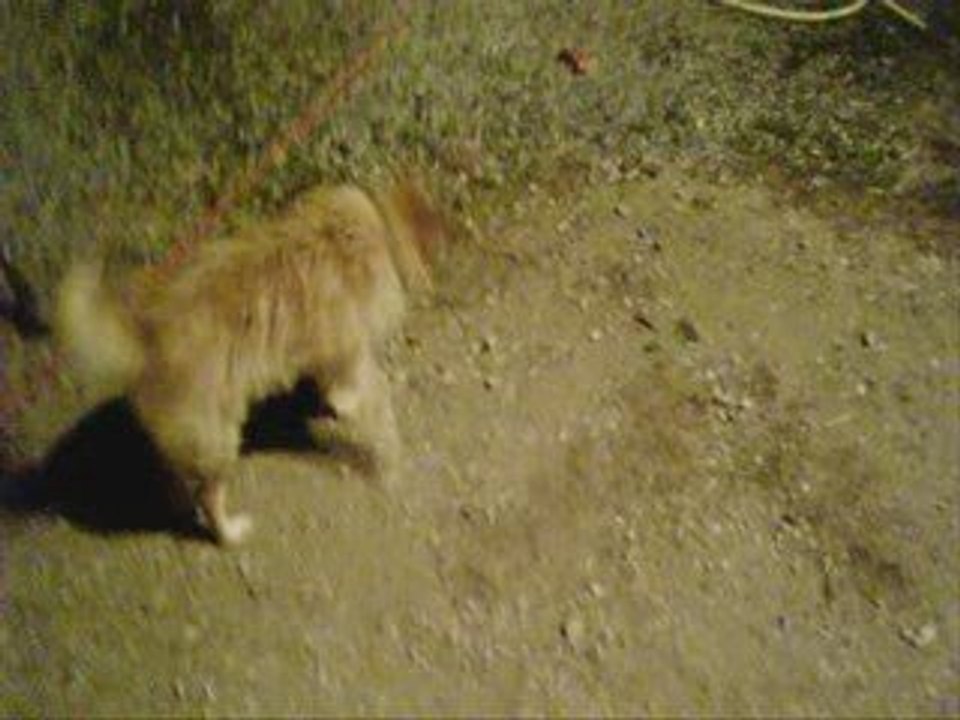 DEsenten en luge l'été