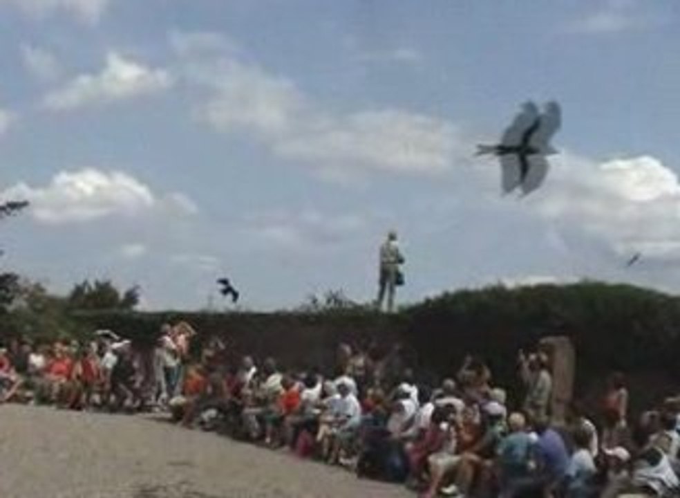 La volerie des aigles