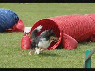 cooper-et-ma-chute