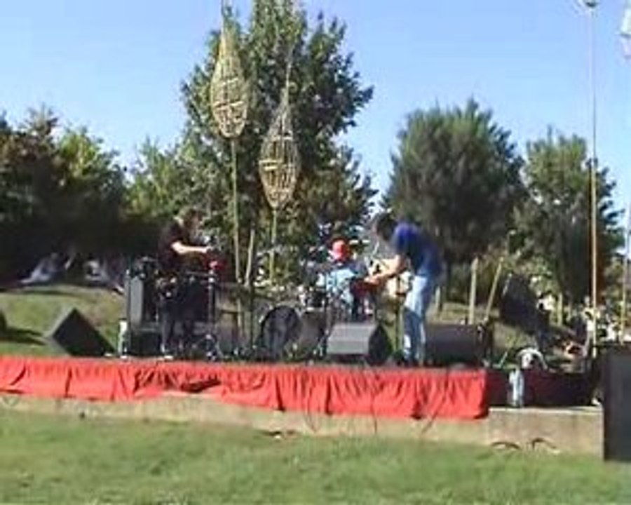 Festival Teriaki 2009 nlf3 sieste electronique