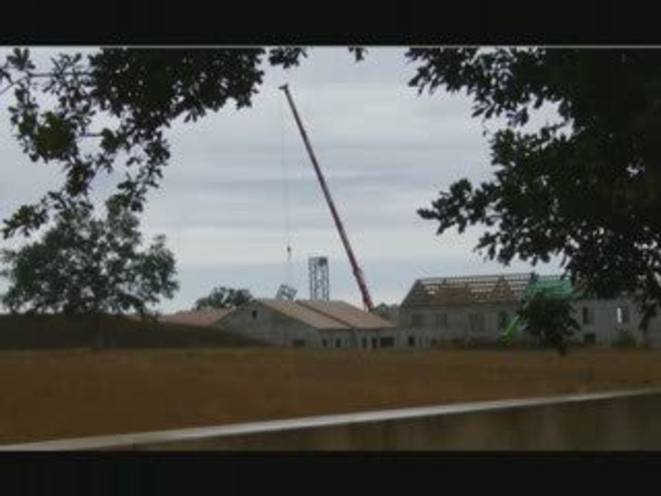le coq et la grue