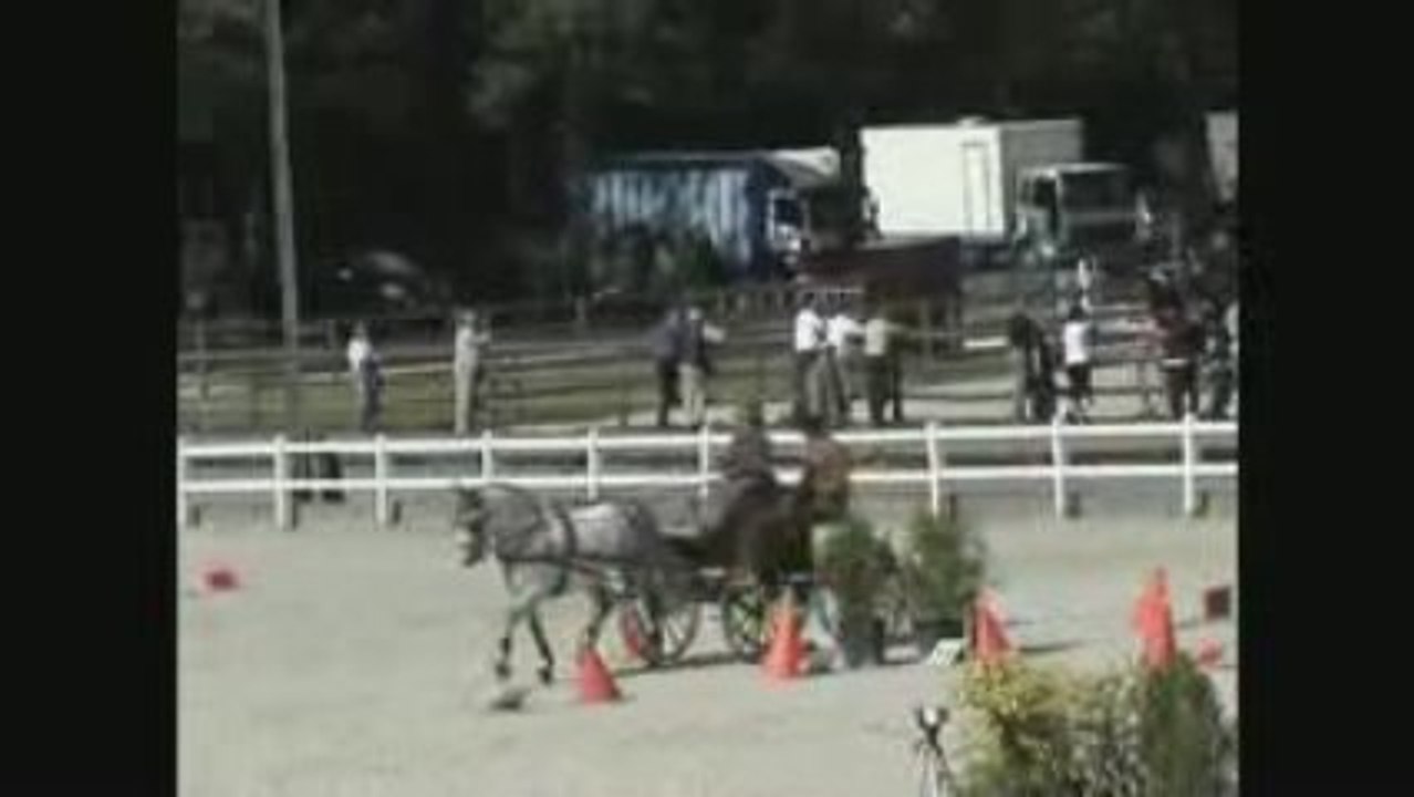 Gesves mania Sylvie Renier