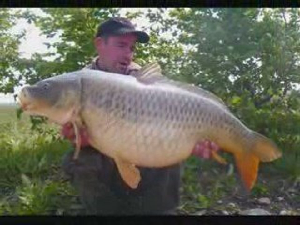 ck42 tours sessions 2009