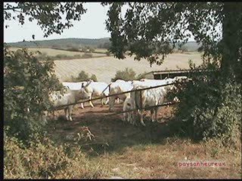 rencontres du matin