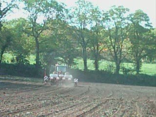 Semi Maïs Mai  2009_0001