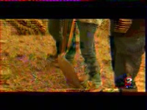 FEU EN CALIFORNIE 2009 FIRE CALIFORNIA FRANCE3 BLOGPARFAIT