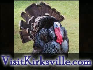 Missouri Turkey Hunting here!
