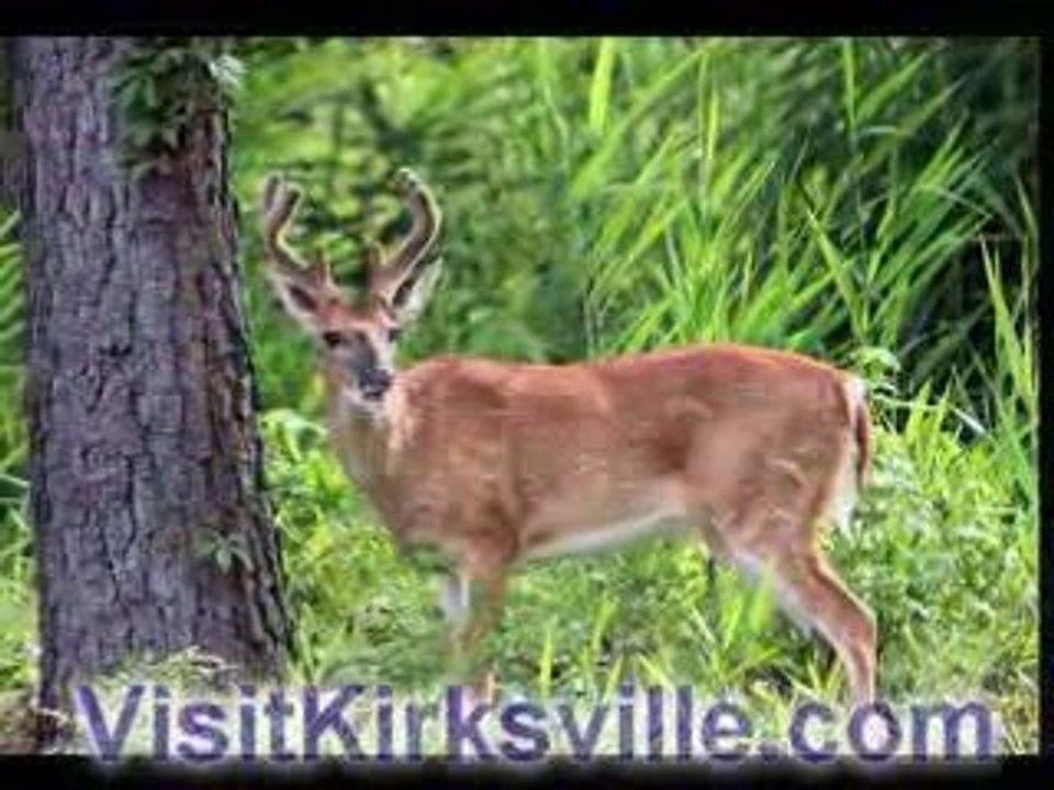 Missouri Deer Hunting
