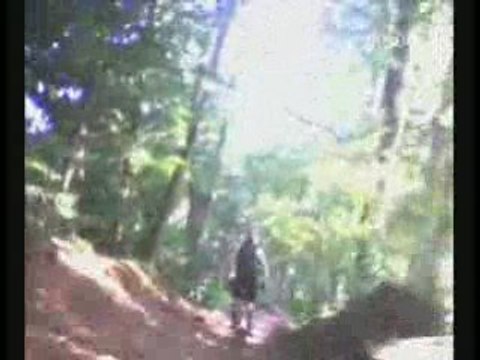 downhill de belmont bike dh freeride