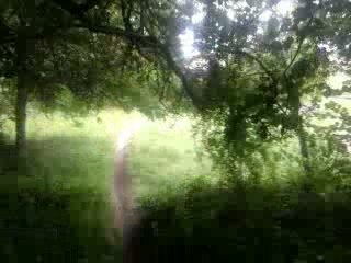 200 kawa summer 2009